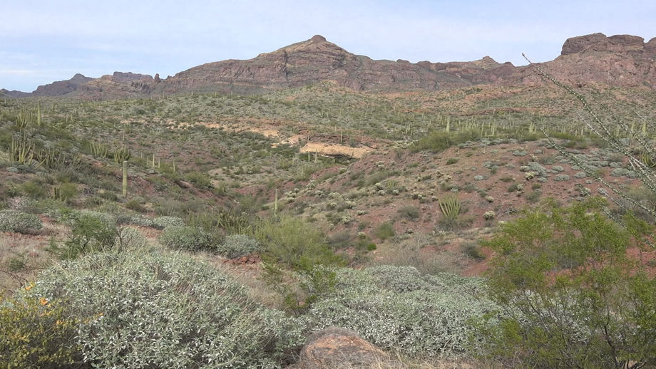 Casa Grande Echo